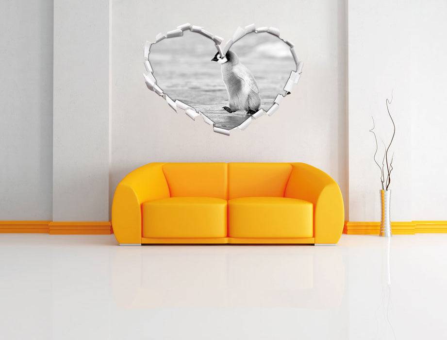 Pixxprint Kaiserpinguinkücken, 3D Wandtattoo Letzter Tag