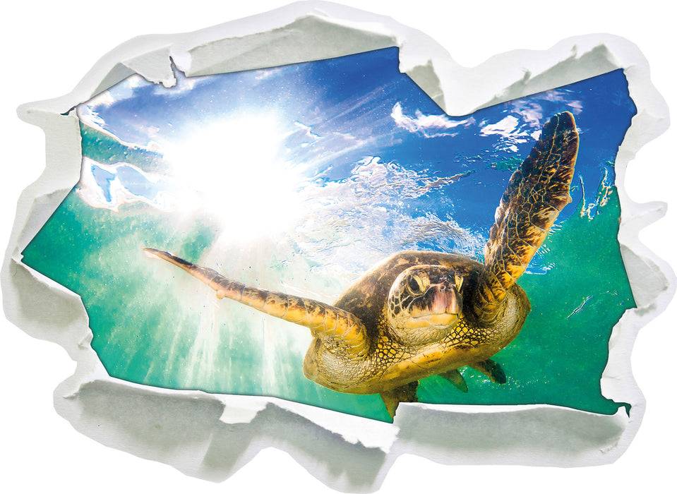 Pixxprint Grüne Meeresschildkröte, 3D Wandtattoo Bis zu 60% Rabatt