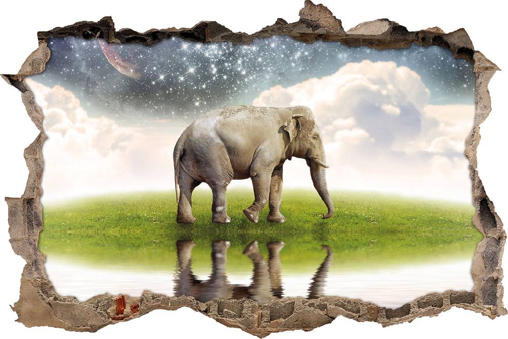 Pixxprint Einsamer Elefant Sternenhimmel, 3D Wandtattoo