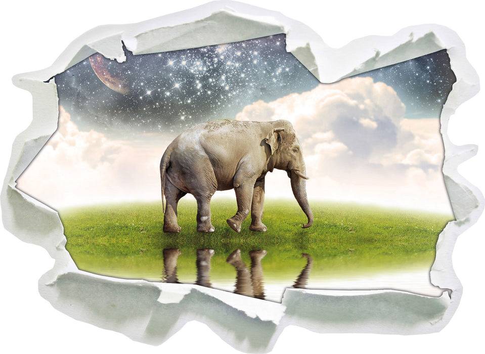 Pixxprint Einsamer Elefant Sternenhimmel, 3D Wandtattoo Nur für heute