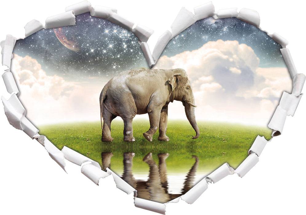 Pixxprint Einsamer Elefant Sternenhimmel, 3D Wandtattoo Nur für heute