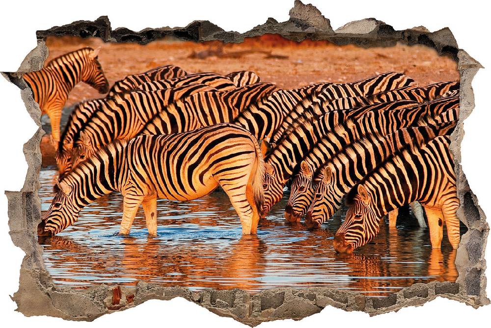 Pixxprint Zebraherde an Wasserloch, 3D Wandtattoo