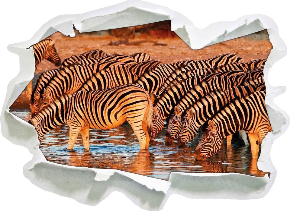 Pixxprint Zebraherde an Wasserloch, 3D Wandtattoo Vierteljährliche Förderung