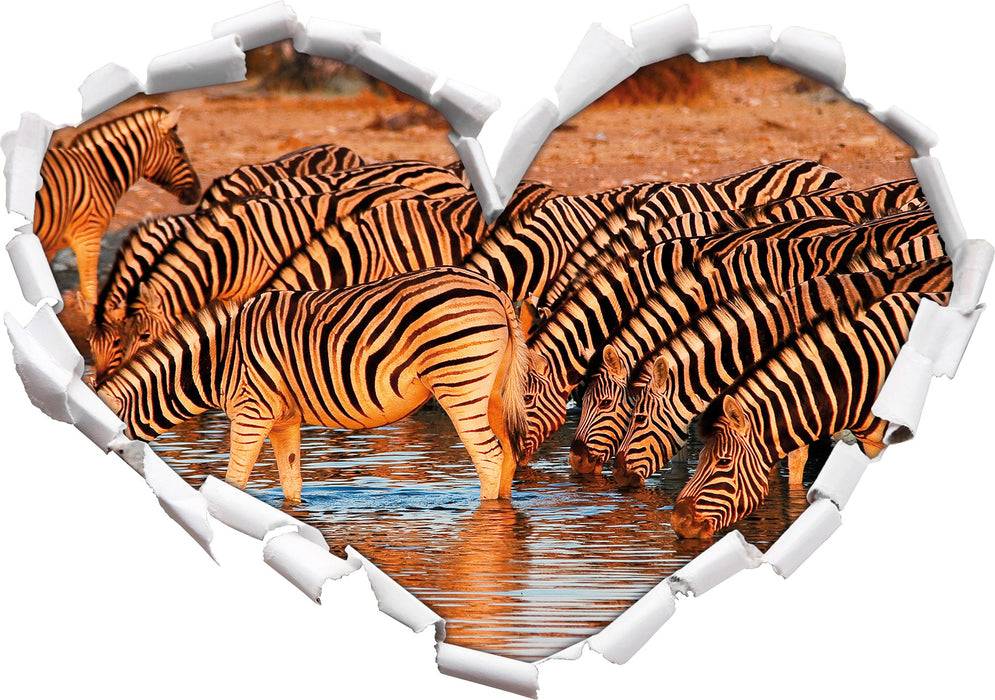Pixxprint Zebraherde an Wasserloch, 3D Wandtattoo Vierteljährliche Förderung