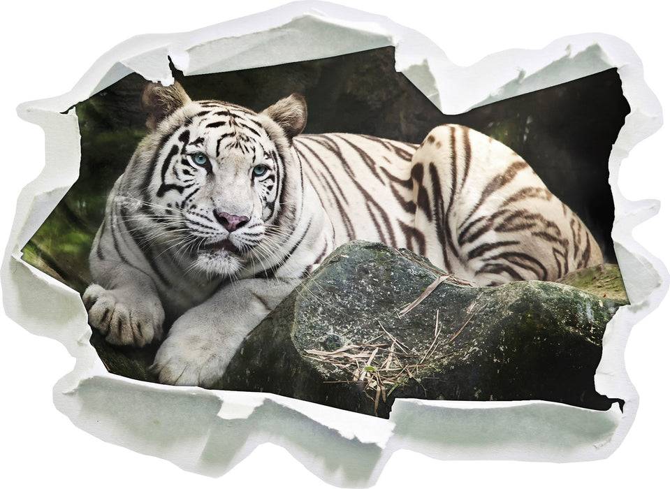 Pixxprint Stolzer weisser Tiger, 3D Wandtattoo