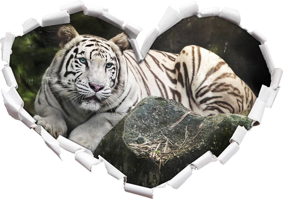 Pixxprint Stolzer weisser Tiger, 3D Wandtattoo Discount Store für neue Produkte