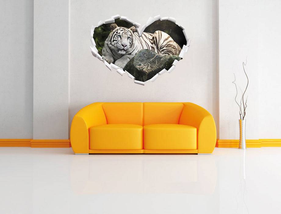 Pixxprint Stolzer weisser Tiger, 3D Wandtattoo Discount Store für neue Produkte
