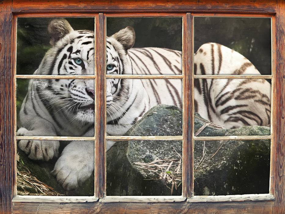 Pixxprint Stolzer weisser Tiger, 3D Wandtattoo Discount Store für neue Produkte