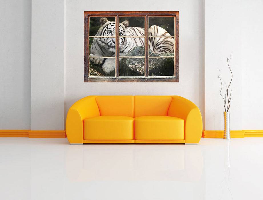 Pixxprint Stolzer weisser Tiger, 3D Wandtattoo Discount Store für neue Produkte