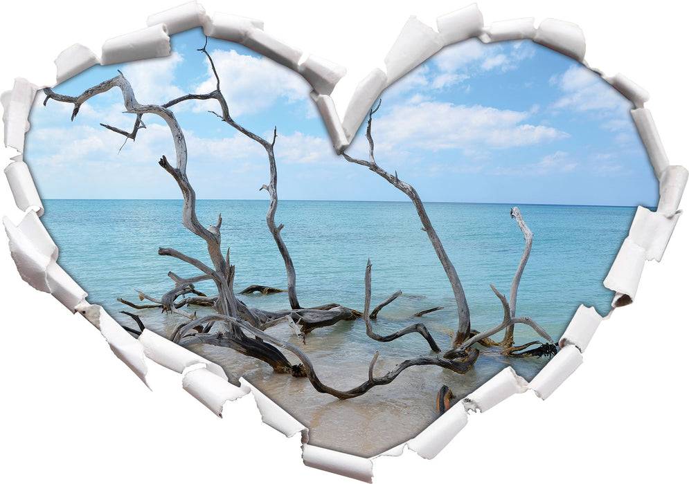 Pixxprint Strand mit Treibholz in Kuba, 3D Wandtattoo Kostenloser Versand international