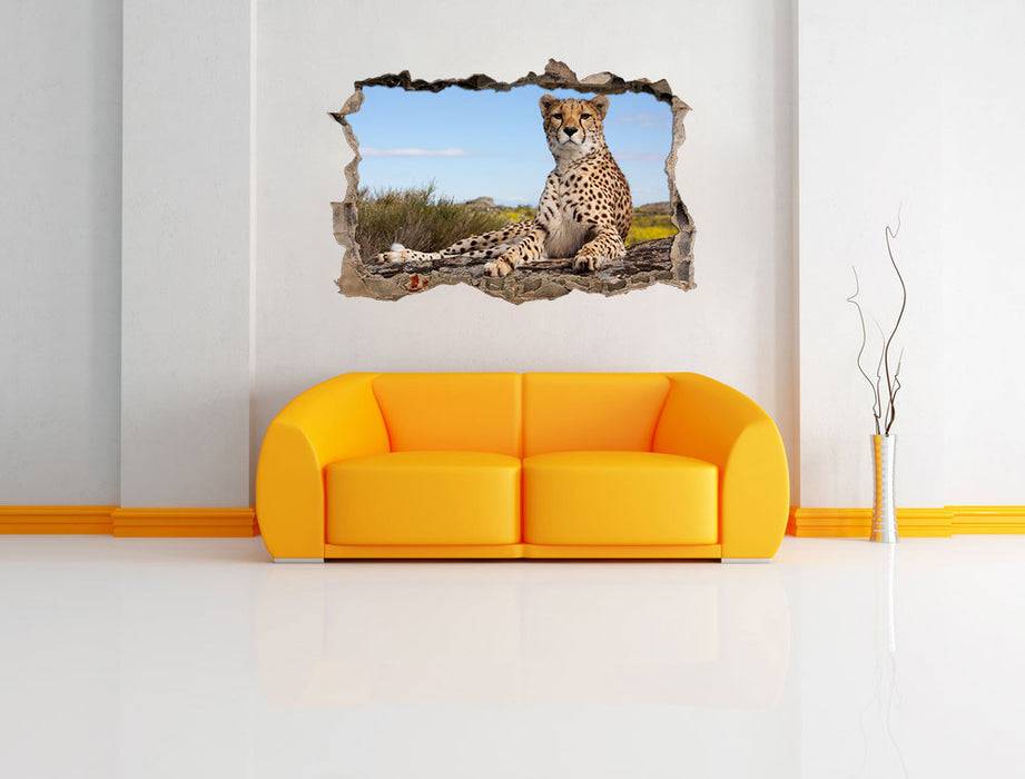 Pixxprint Gepard in Savanne, 3D Wandtattoo Im Verkauf