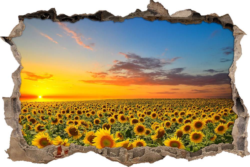 Pixxprint Sonnenuntergang Sonnenblumen, 3D Wandtattoo Verkauf