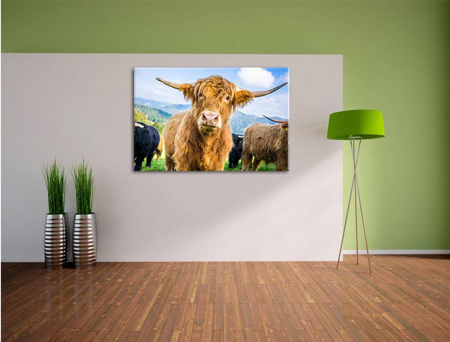 Pixxprint Blick einer Kuh an der Weide, Leinwandbild Sonderangebot