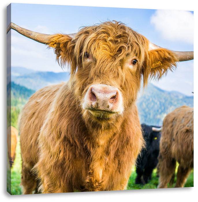 Pixxprint Blick einer Kuh an der Weide, Leinwandbild Sonderangebot