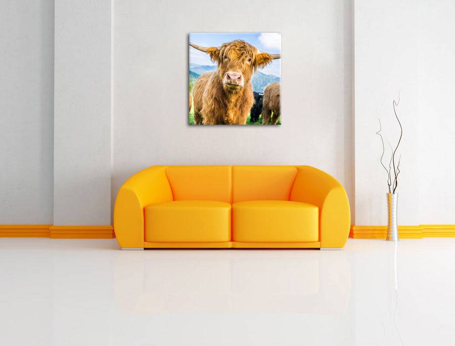 Pixxprint Blick einer Kuh an der Weide, Leinwandbild Sonderangebot