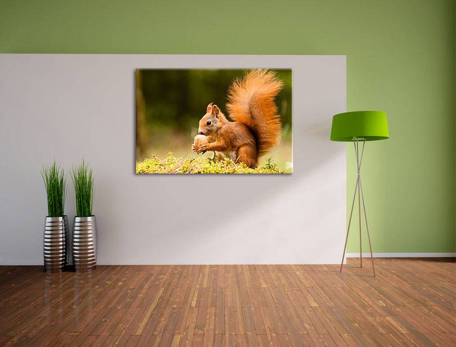 Pixxprint Eichhörnchen mit Nuss, Leinwandbild Flash Sale