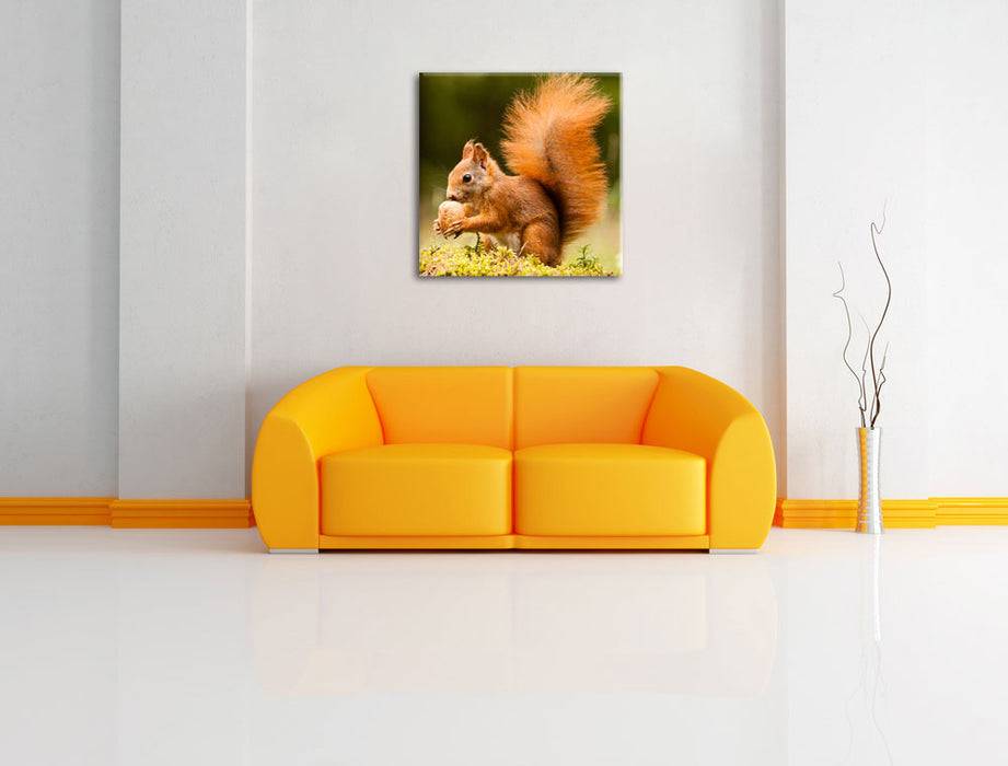 Pixxprint Eichhörnchen mit Nuss, Leinwandbild Flash Sale
