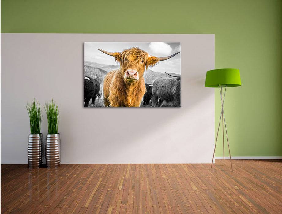 Pixxprint Blick einer Kuh an der Weide B&W, Leinwandbild Osterangebot