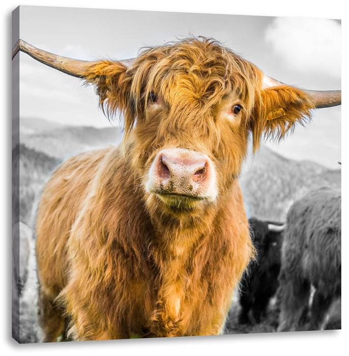 Pixxprint Blick einer Kuh an der Weide B&W, Leinwandbild Osterangebot