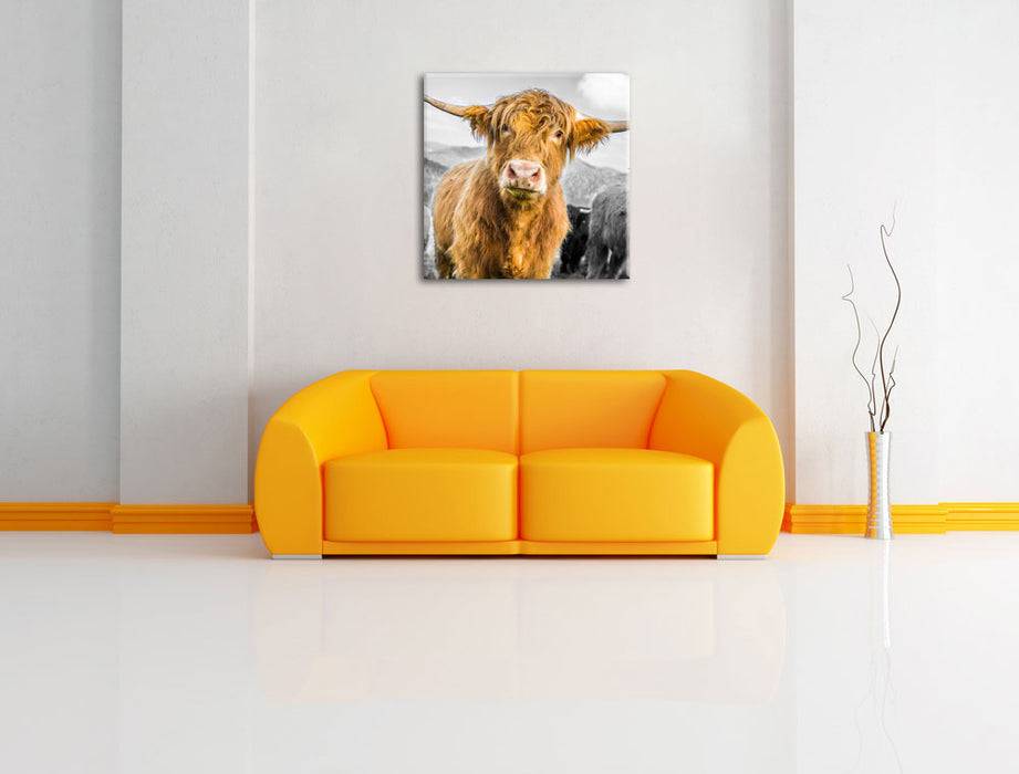 Pixxprint Blick einer Kuh an der Weide B&W, Leinwandbild Osterangebot