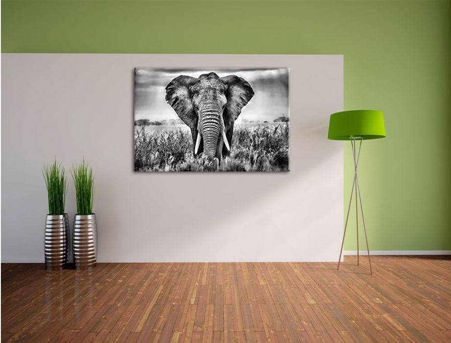 Pixxprint Imposanter Elefant, Leinwandbild Muttertagsangebot