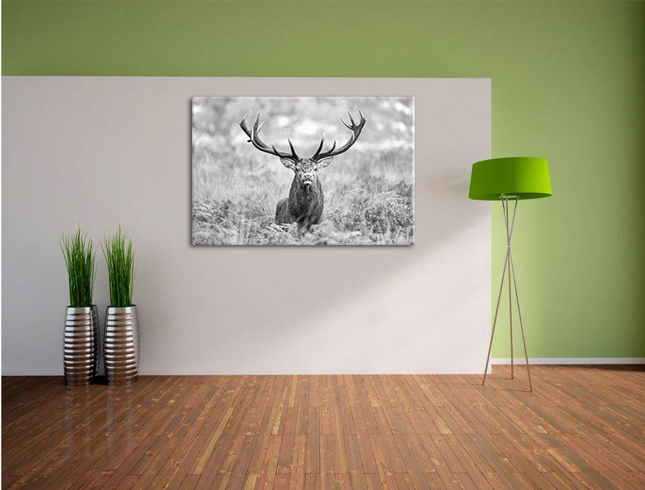 Pixxprint Großer Hirsch im Feld Kunst B&W, Leinwandbild Vatertagsangebot