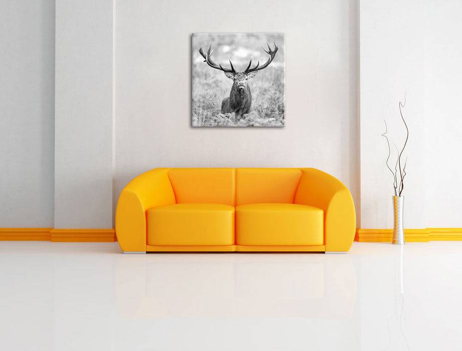 Pixxprint Großer Hirsch im Feld Kunst B&W, Leinwandbild Vatertagsangebot