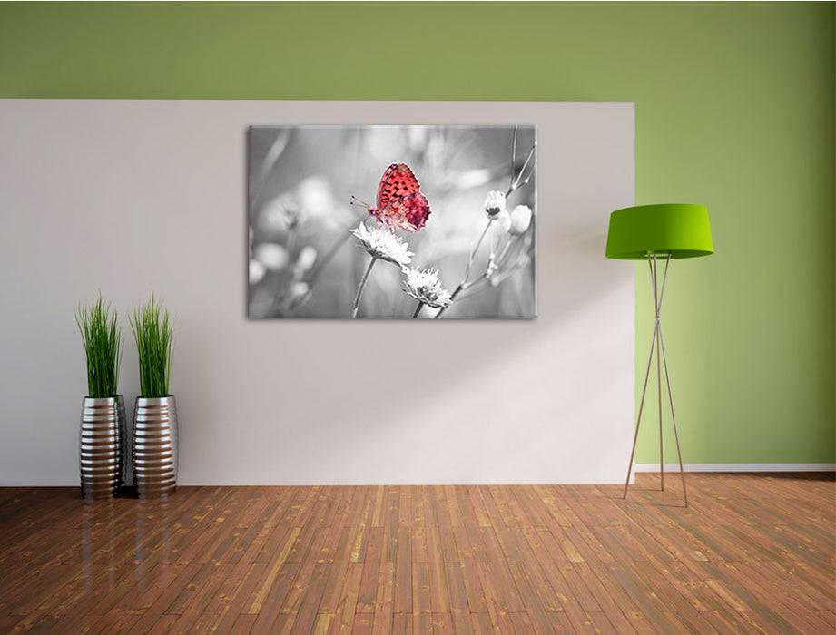 Pixxprint Schmetterling auf Blüte, Leinwandbild Valentinstagsangebot