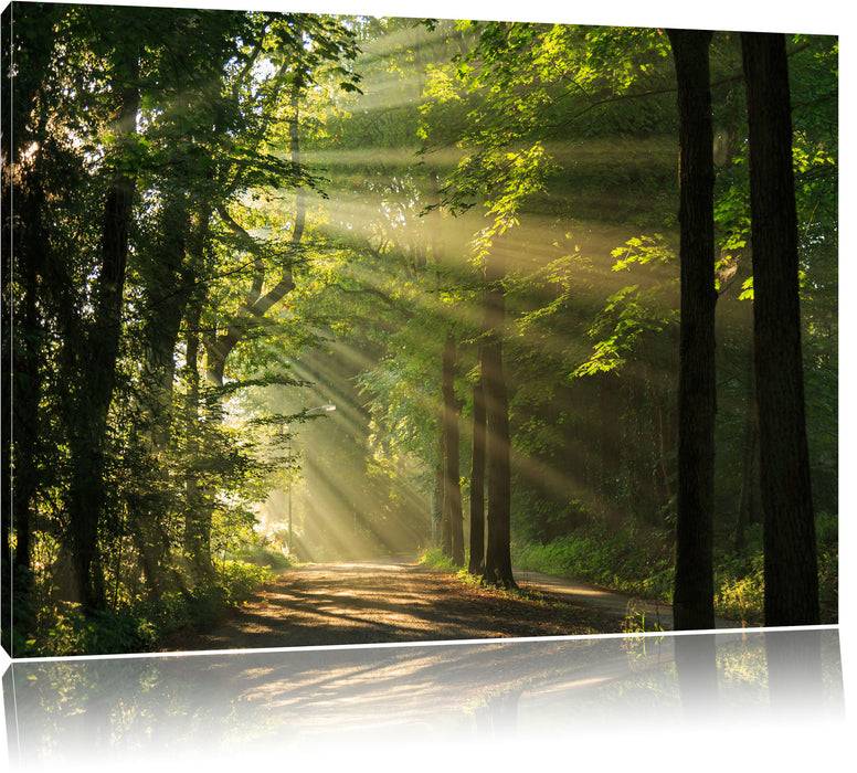 Pixxprint Waldweg im Frühling, Leinwandbild