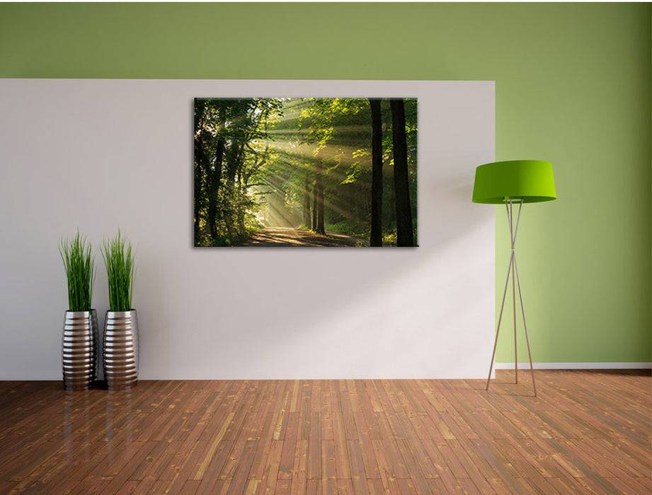 Pixxprint Waldweg im Frühling, Leinwandbild Lagerräumung