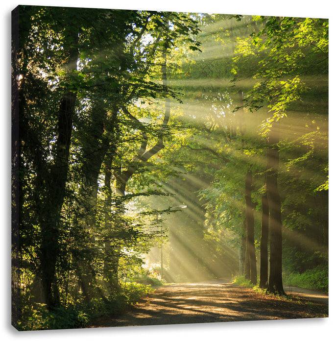 Pixxprint Waldweg im Frühling, Leinwandbild Lagerräumung