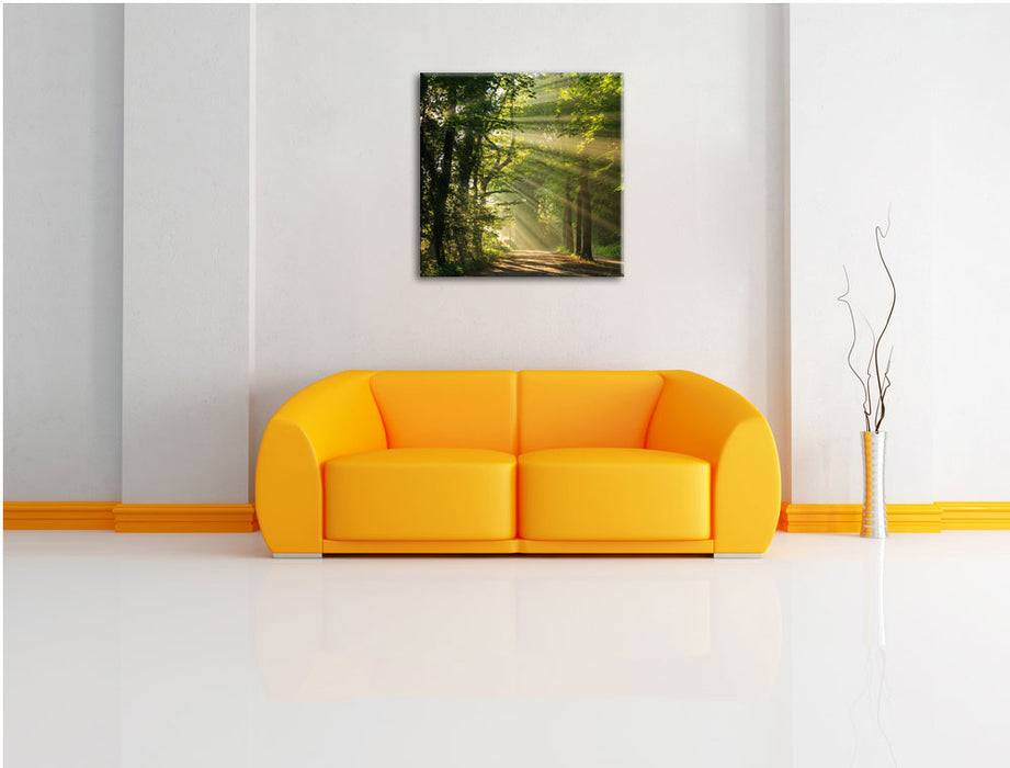 Pixxprint Waldweg im Frühling, Leinwandbild Lagerräumung