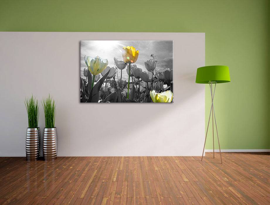 Pixxprint wunderschöne Tulpenwiese, Leinwandbild Heißer Verkauf