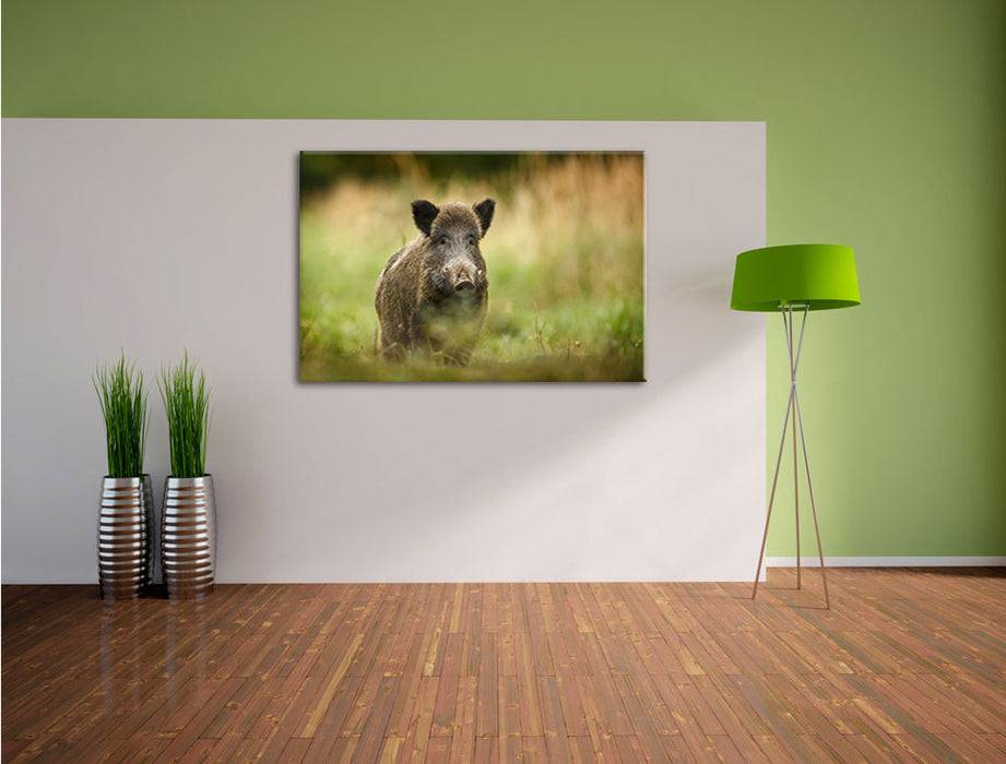 Pixxprint Stolzes Wildschwein im Wald, Leinwandbild Neueste Mode