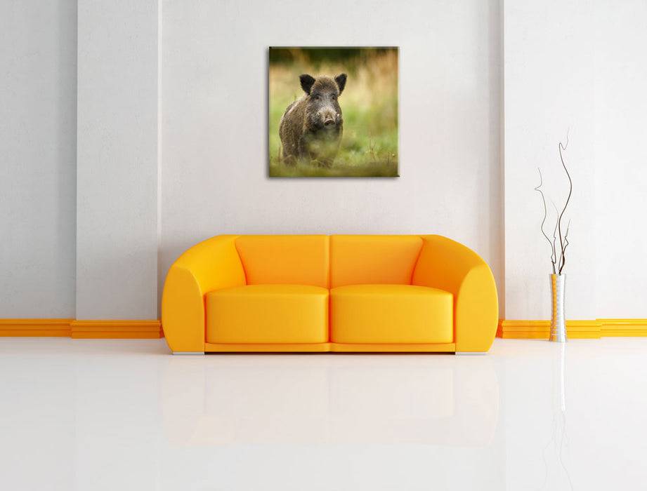 Pixxprint Stolzes Wildschwein im Wald, Leinwandbild Neueste Mode