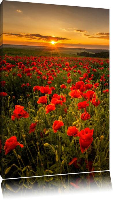Pixxprint Mohnwiese im Sonnenuntergang, Leinwandbild