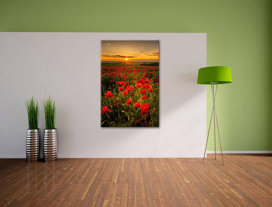 Pixxprint Mohnwiese im Sonnenuntergang, Leinwandbild Online Outlet