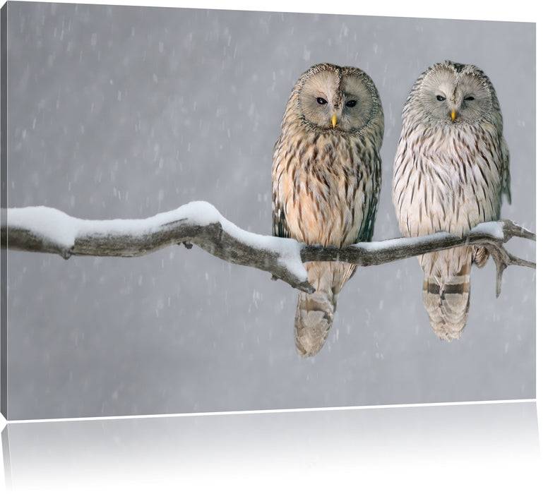 Pixxprint Zwei Eulen in Winterlandschaft, Leinwandbild Bis zu 55% Rabatt
