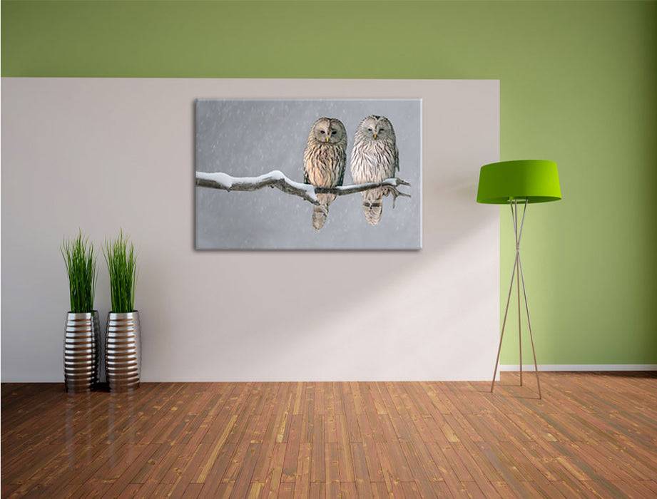 Pixxprint Zwei Eulen in Winterlandschaft, Leinwandbild Bis zu 55% Rabatt