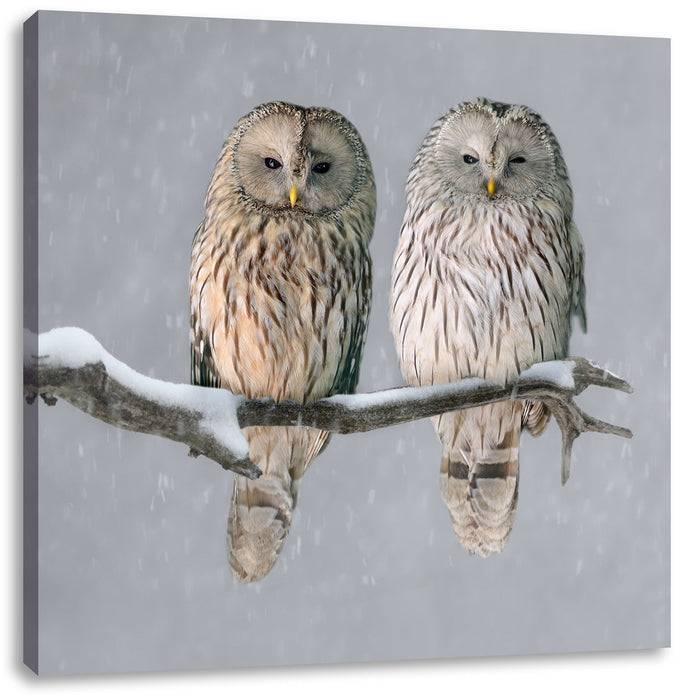 Pixxprint Zwei Eulen in Winterlandschaft, Leinwandbild Bis zu 55% Rabatt