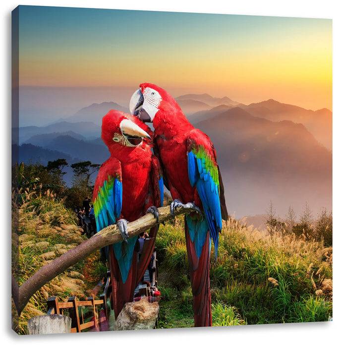 Pixxprint Papageien Pärchen, Leinwandbild 50% Rabatt mit kostenlosem Versand