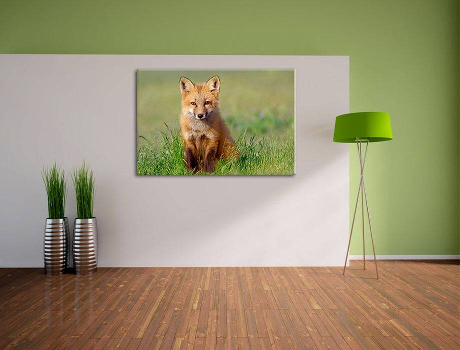Pixxprint Kleiner Fuchs, Leinwandbild Clearance-Verkauf