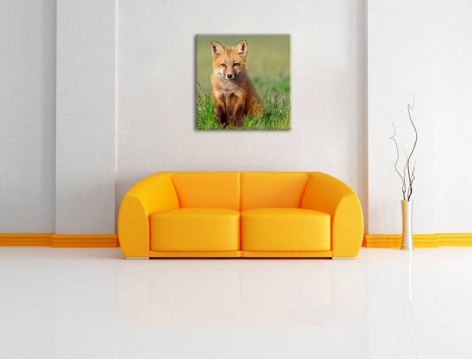 Pixxprint Kleiner Fuchs, Leinwandbild Clearance-Verkauf