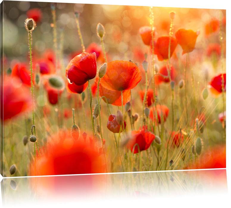 Pixxprint Rote Mohnwiese, Leinwandbild