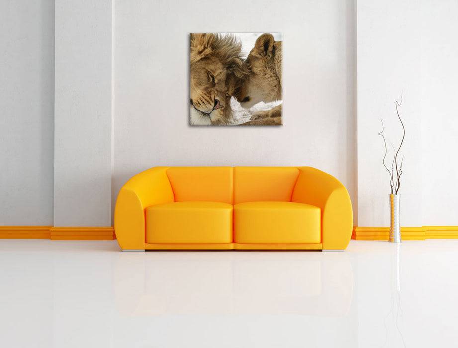 Pixxprint Kuschelnde Löwen, Leinwandbild Begrenzt auf 3 Tage