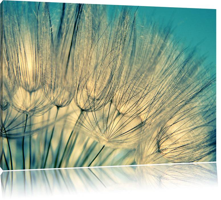 Pixxprint Pusteblumen, Leinwandbild Speichern exportieren