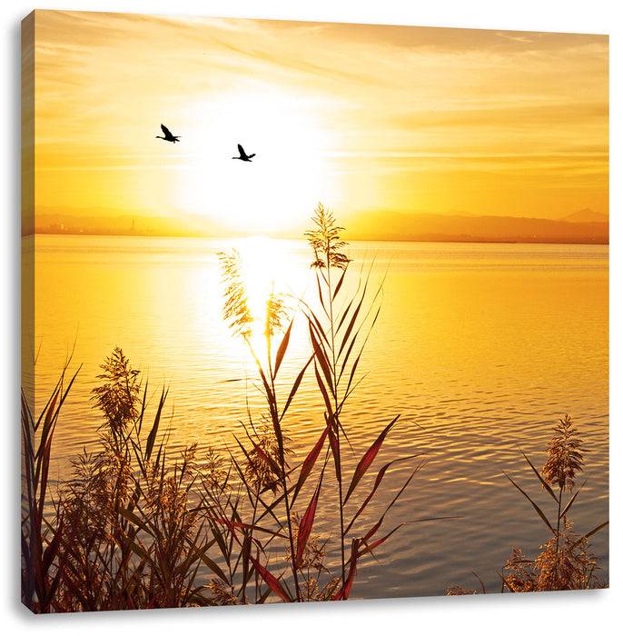 Pixxprint Sonnenuntergang am See, Leinwandbild Im Verkauf