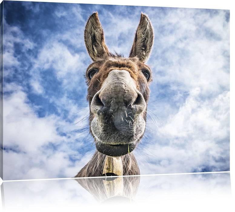 Pixxprint Lustiger Esel, Leinwandbild