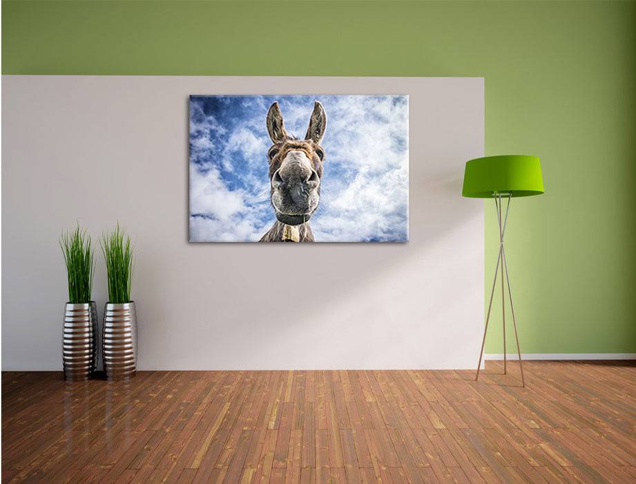 Pixxprint Lustiger Esel, Leinwandbild Online