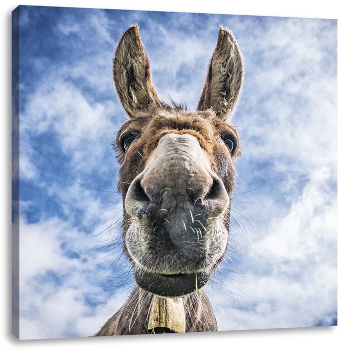 Pixxprint Lustiger Esel, Leinwandbild Online